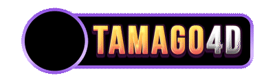 TAMAGO4D System